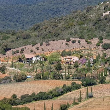 Bel Appart Style Vintage Vue Mer La Londe-les-Maures Zewnętrze zdjęcie