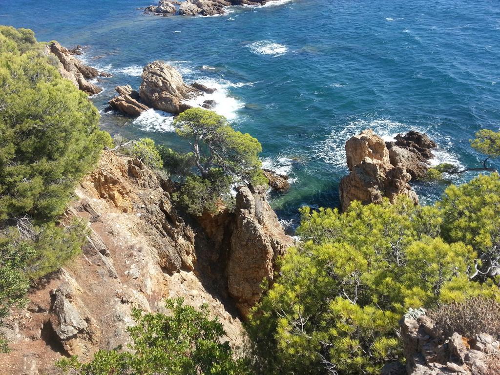 Bel Appart Style Vintage Vue Mer La Londe-les-Maures Zewnętrze zdjęcie